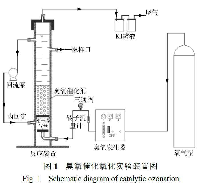 91视频免费下载催化氧化实验装置和方法